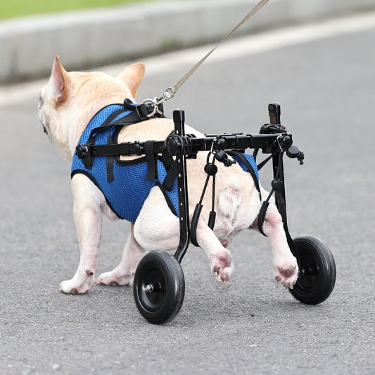 Adjustable Dog Wheelchair - For Disabled And Senior Dogs