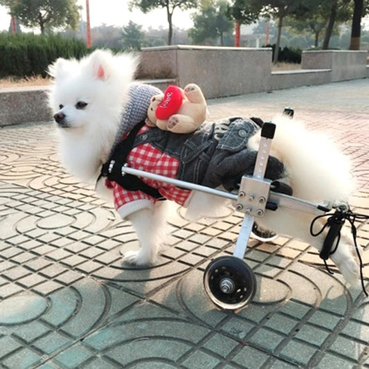 Fully Adjustable Dog Wheelchair - For Senior And Disabled Pets